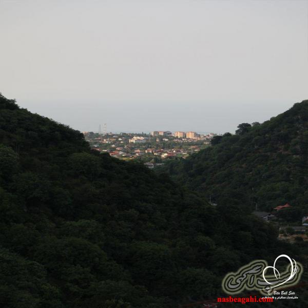 ریگهای زرین بیتابال سیر