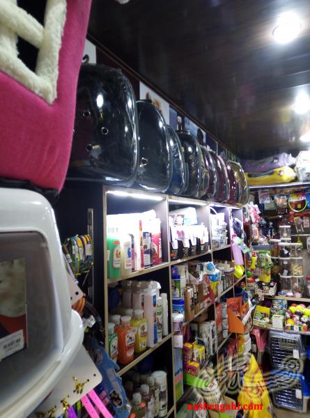 مجهزترین فروشگاه لوازم حیوانات خانگی در لاهیجان