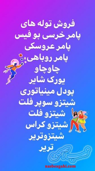 توله سگ های وارداتی