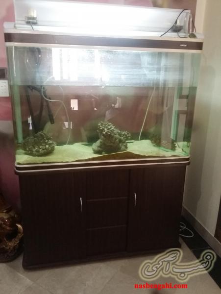 اکواریوم بزرگ