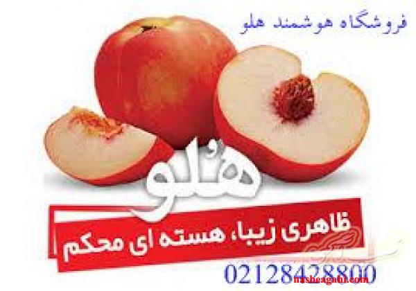 معرفی و فروش  نرم افزار حسابداری هلو