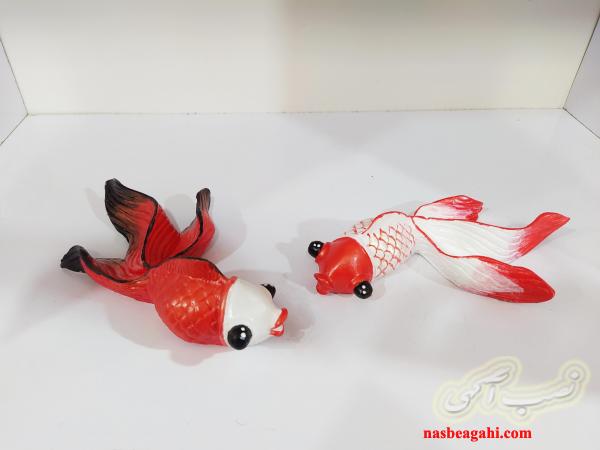 ماهی دکوری جفتی مناسب هفت سین