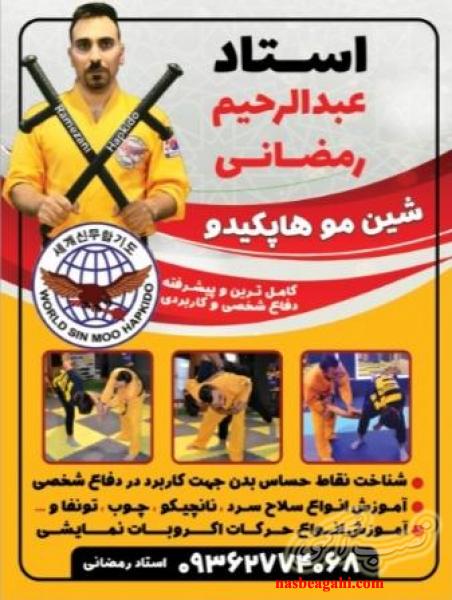 شین مو هاپکیدو شیراز