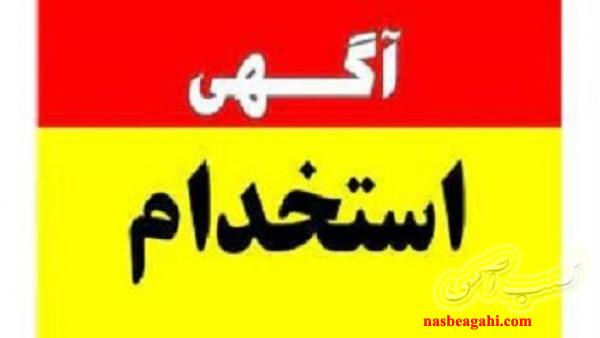 همکار طراح سایت خانم بصورت پروژه ای