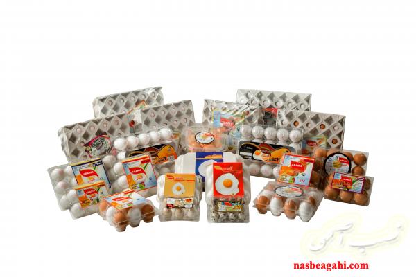 دامپزشک مسول فنی