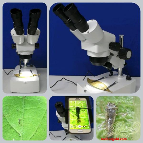 خرید فروش تعمیرات استریو میکروسکوپ (لوپ) دوچشمی