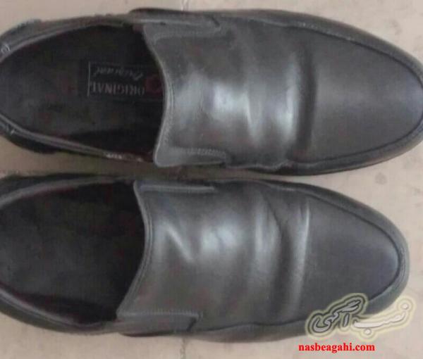 کفش دوقلوها