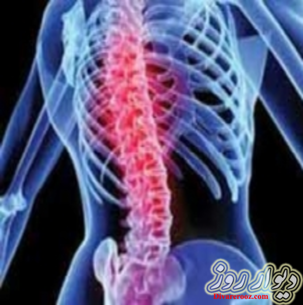 دکتر وحید لطفی فرد