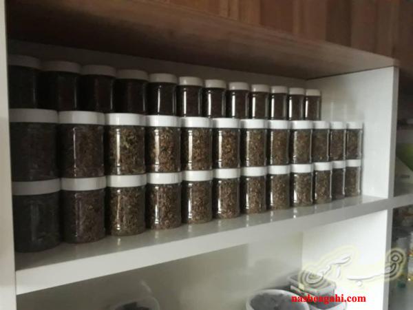 شکوفه گل سنجد عسلی