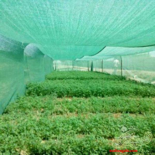 توری محافظ گلخانه ای ، توری سایبان ، توری شید 09197443453