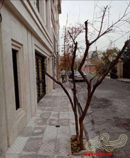 ۱۱۵ متر آپارتمان نوساز شخصی ( میدان المپیک )