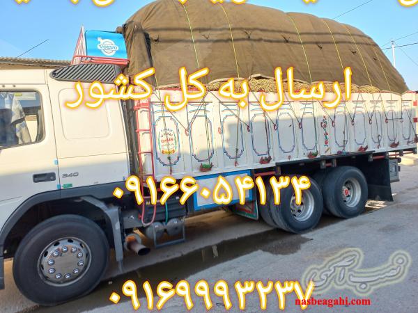 فروش نهاده های دامی