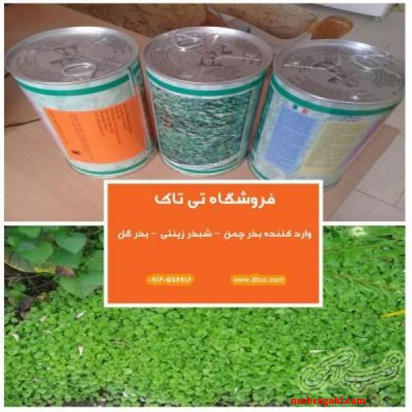 بذر چمن 09190107631