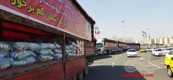 بنیاد بین المللی خیریه آبشار عاطفه ها