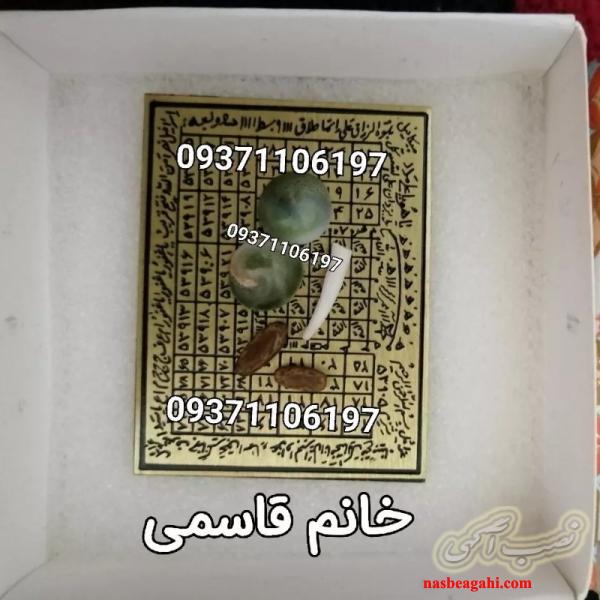 مهره مار شاه کبری اصلی بامرجوعی