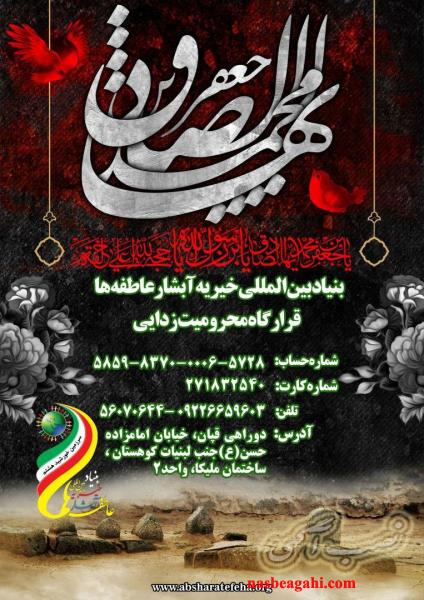 بنیاد بین المللی خیریه آبشار عاطفه ها