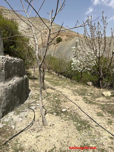 زمین 3 هکتاری در لواسان کوچک کردیان