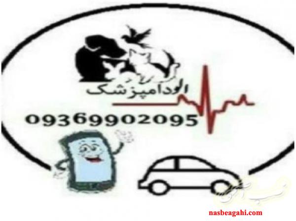 دامپزشکی الودامپزشک-ملارد