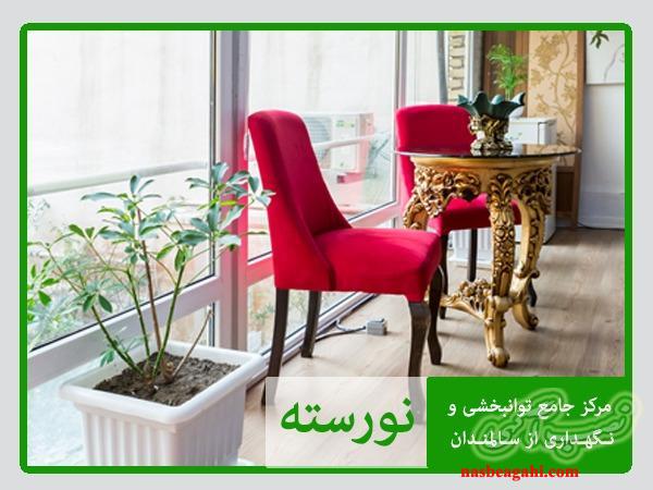 خانه سالمندان در دولت