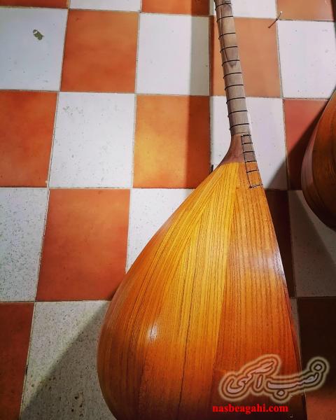 ساز قوپوز(ساز عاشقی) حرفه ای