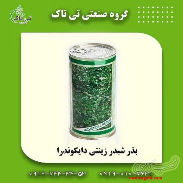 فروش عمده بذر چمن دایکوندرا | 09199762163