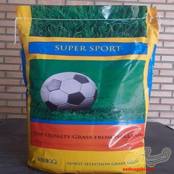 فروش بذر چمن سوپر اسپرت هلندی | 09199762163