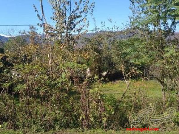 250 متر  زمین تبرسرا ماسال