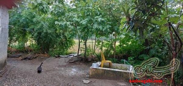 زمین به متراژ 330 متر سند تک برگ