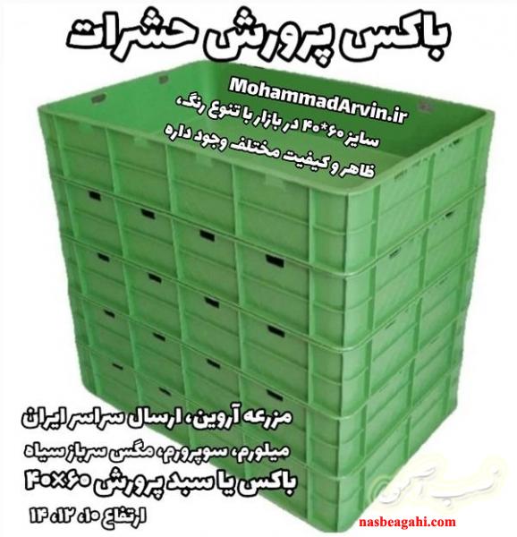 سبد پرورش میل ورم