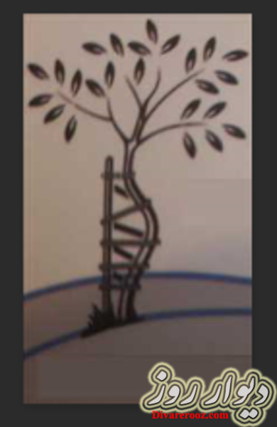 دکتر سیدشاهین مرزبان