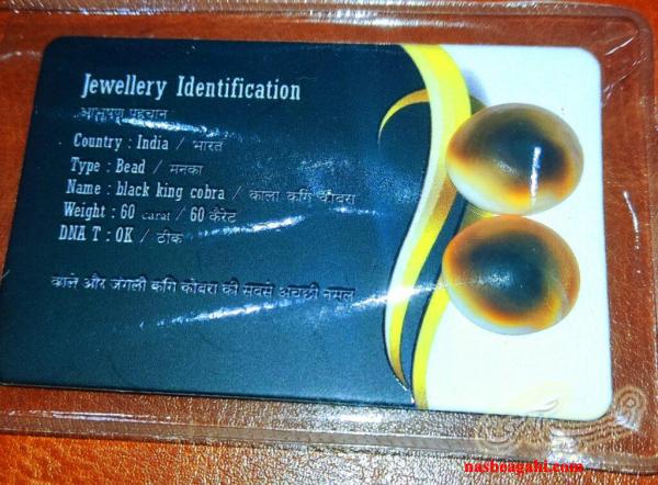 مهره مار اصل شاه کبری باشماسنامه وضمانت نامه فروشگاهی