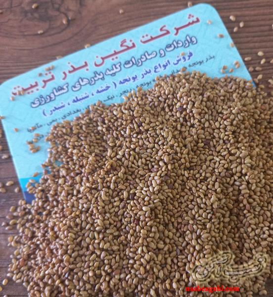 فروش انواع بذر یونجه و علوفه درجه یک و اعلا
