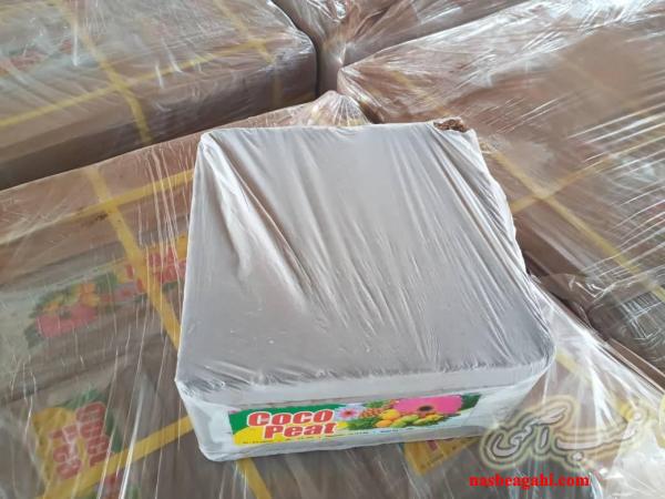 فروش کوکوپیت سریلانکا