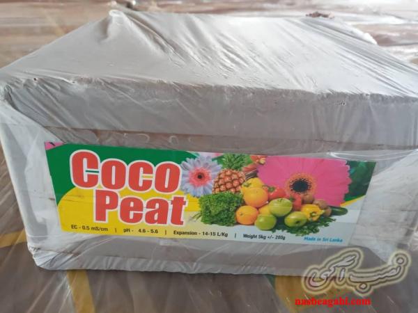 فروش کوکوپیت درجه 1 سریلانکایی