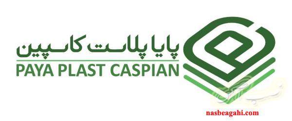 ظروف یکبار مصرف با کیفیت اکوپک محصولی از پایا پلاست کاسپین