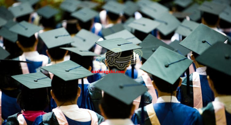 اعزام تا مارس/دوره زبان چینی و آمادگی CSCA/دوره پریمدیکال