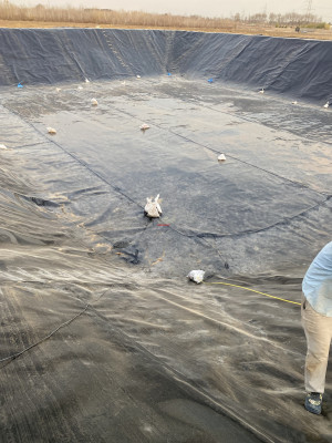 استخر های پلیمری