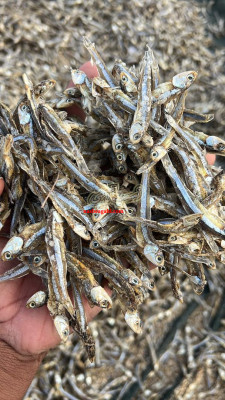 فروش ماهی خشک،پودر ماهی جنوب،خوراک آبزیان،کپور