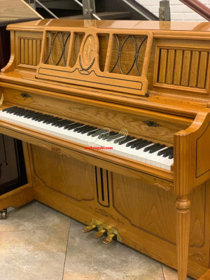 تدریس تخصصی پیانو خصوصی در منزل هنرجو، مدرس خانم