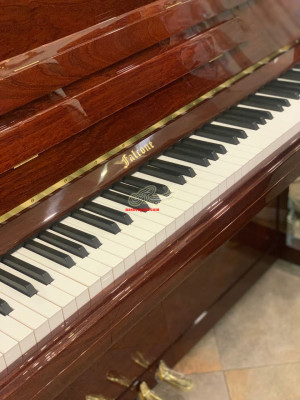 تدریس پیانو در منزل هنرجو توسط مدرس خانم با 18 سال سابقه آموزش