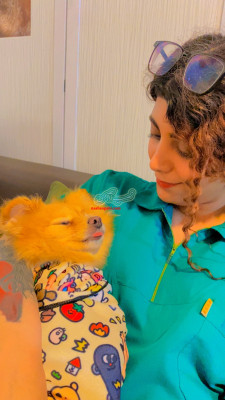 مربی و رفتارشناس سگ