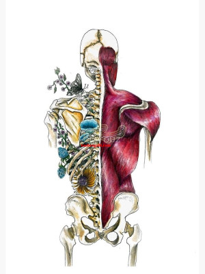 فیزیوتراپی همراه ماساژ درمانی و تمامی ماساژهای غربی و شرقی