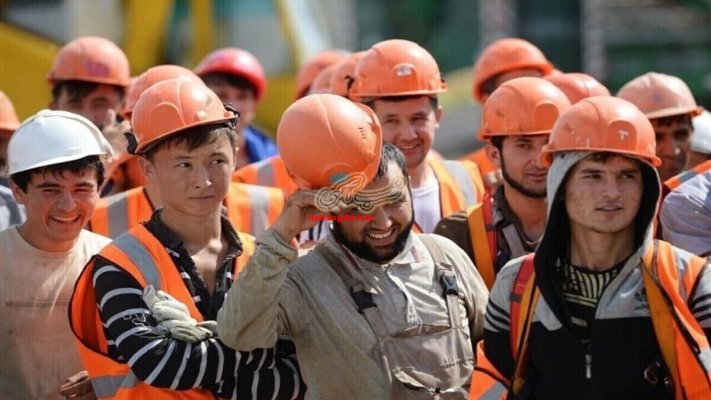 نیروی کار افغانستانی قانونی