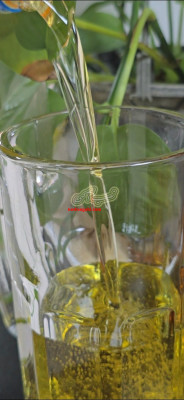 روغن اقتصادی مخصوص طیور گالن 20 کیلویی