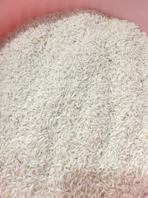 برنج درجه محلی