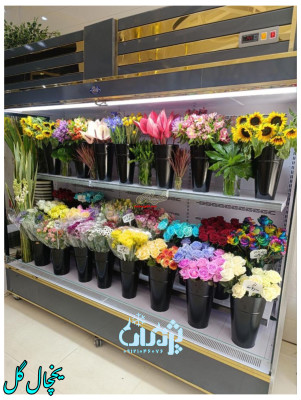 یخچال گل /تولیدی یخچال گل در صنایع برودتی پژمان